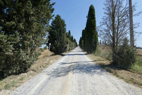 white-gravel-roads-gallery18